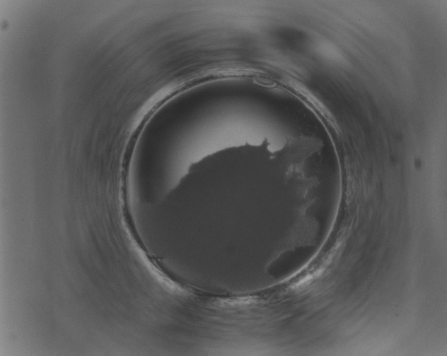 X0000071780853200606301218