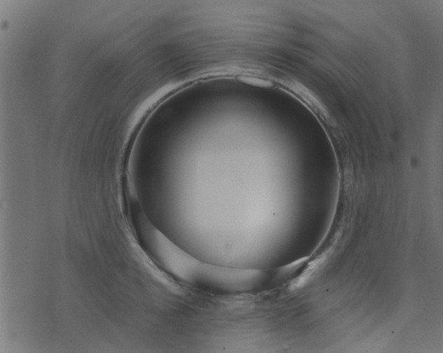 X0000071780854200606301218