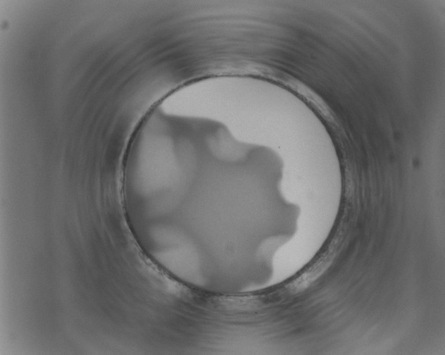 X0000071780856200606301218