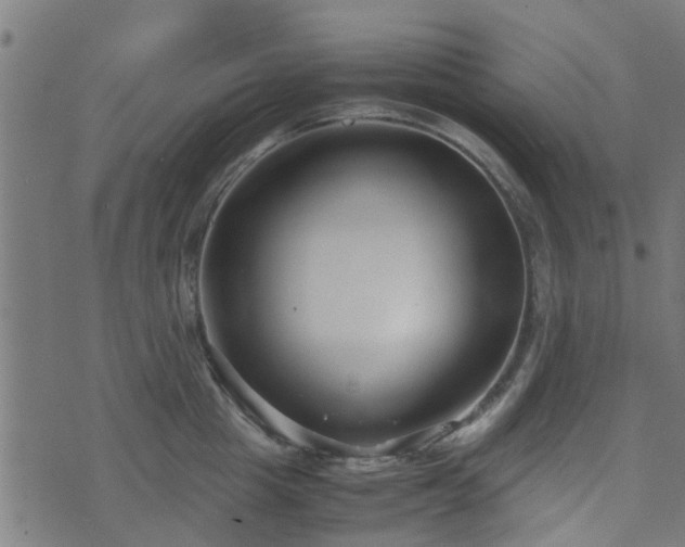 X0000071780857200606301218