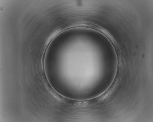 X0000071780858200606301218