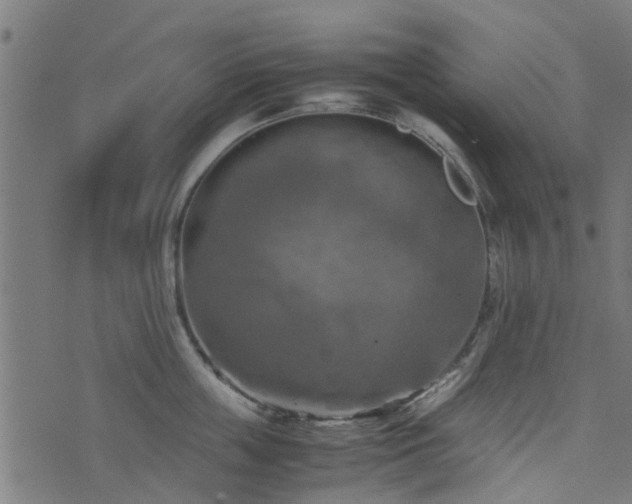 X0000071780859200606301218