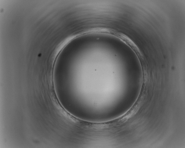 X0000071780860200606301218