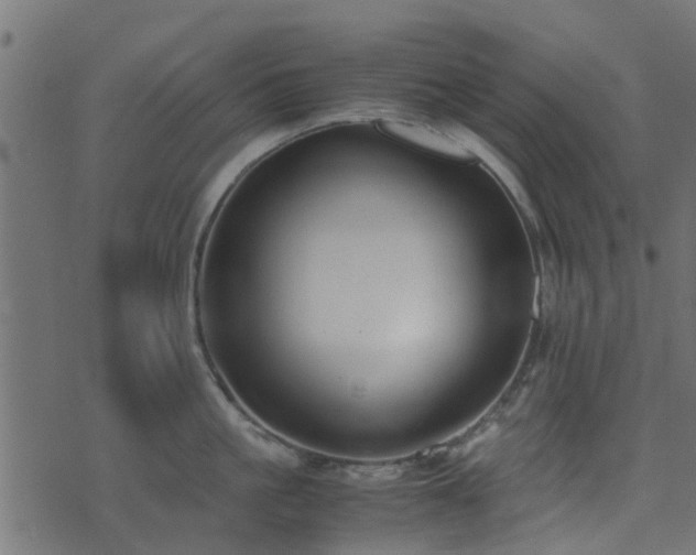 X0000071780861200606301218