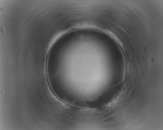 X0000071780863200606301218