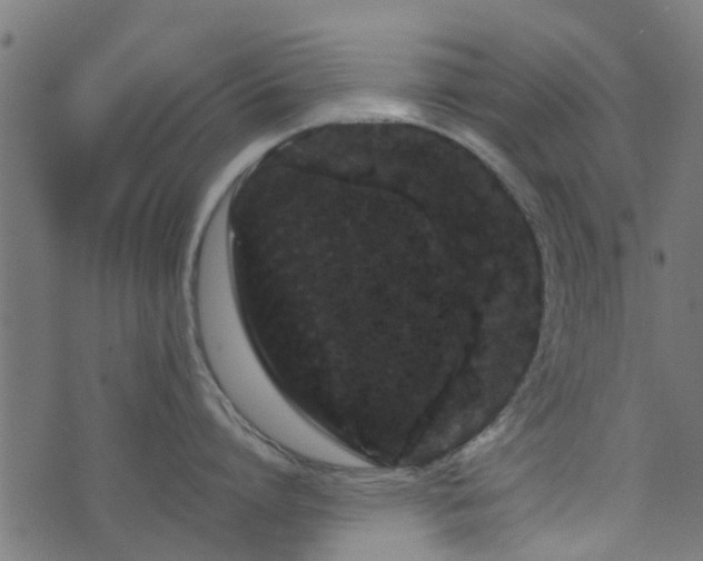 X0000071780864200606301218