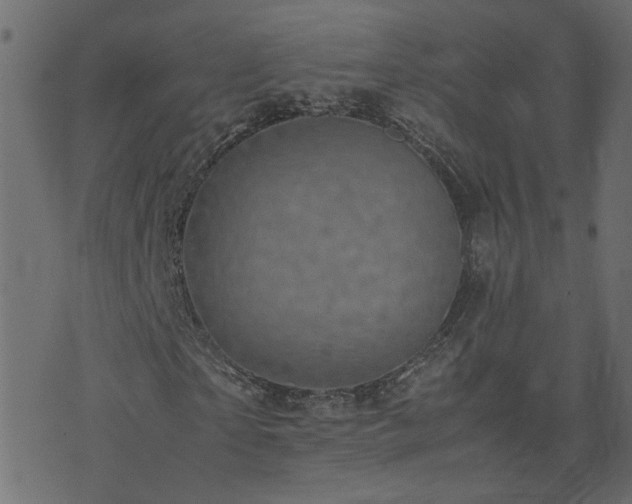 X0000071780865200606301218