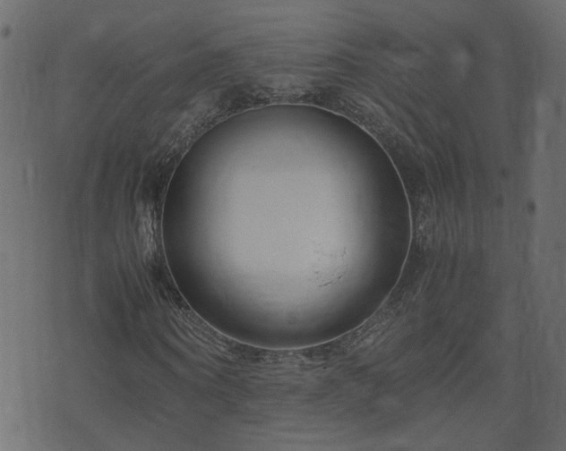 X0000071780866200606301218