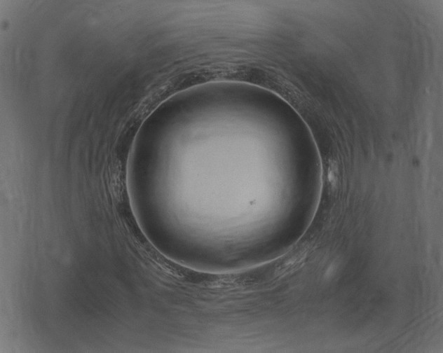 X0000071780867200606301218