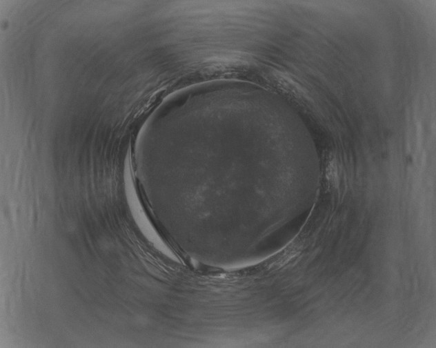 X0000071780868200606301218