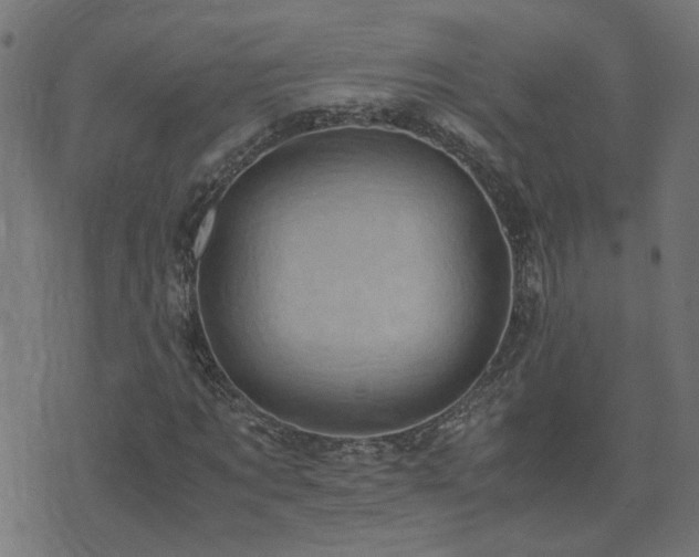 X0000071780869200606301218