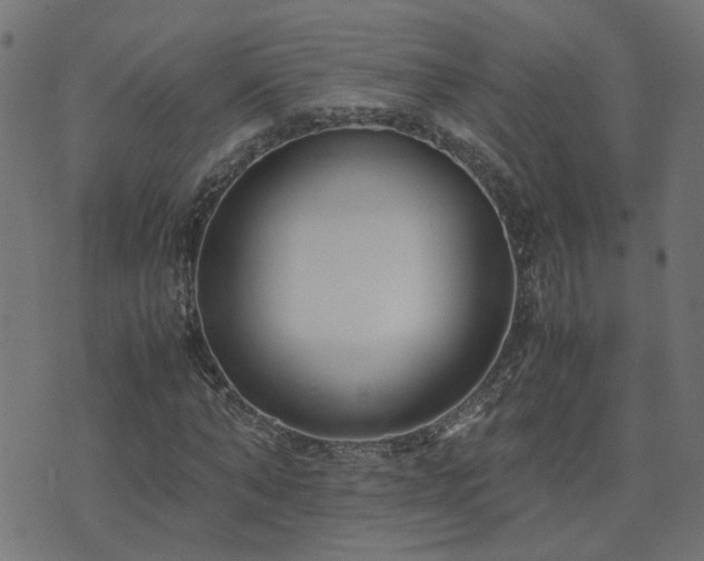 X0000071780870200606301218