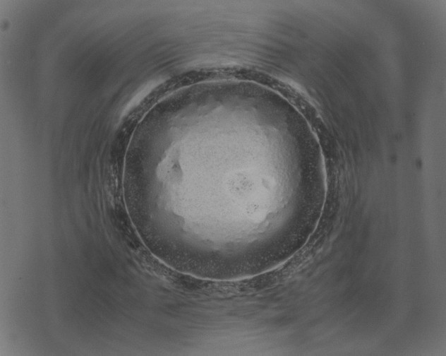 X0000071780871200606301218