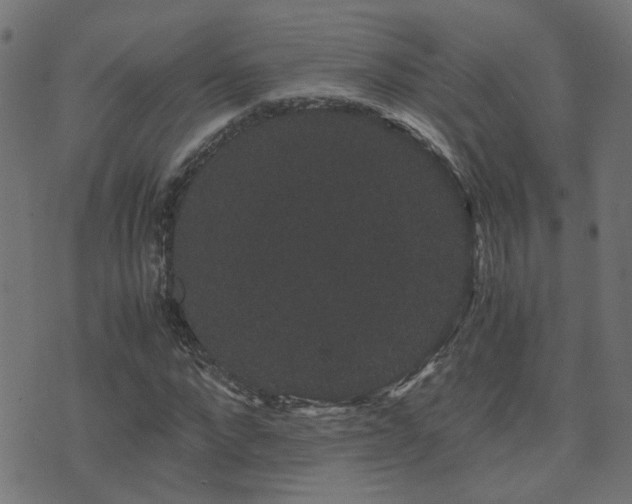 X0000071780872200606301218