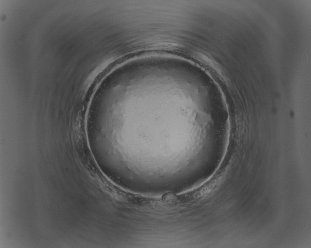 X0000071780875200606301217