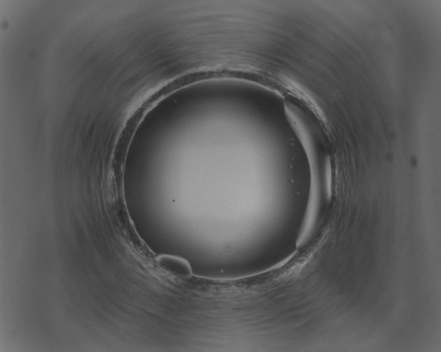 X0000071780876200606301217