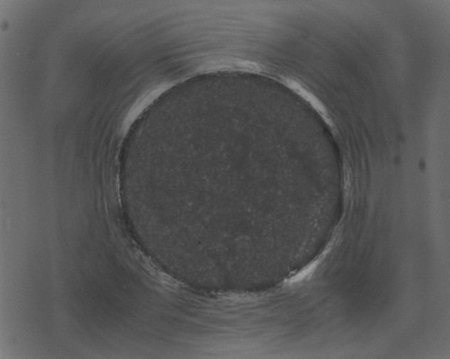 X0000071780877200606301217