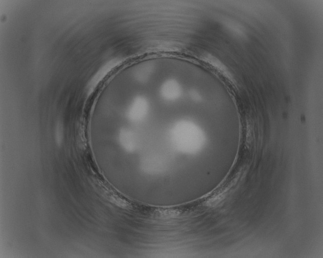 X0000071780878200606301217