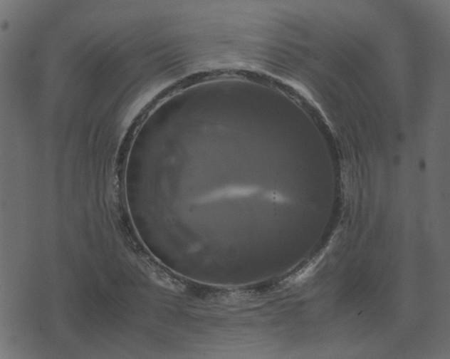 X0000071780879200606301217