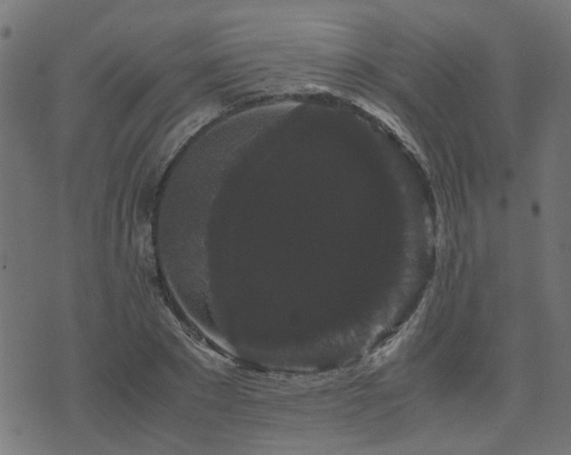 X0000071780881200606301217