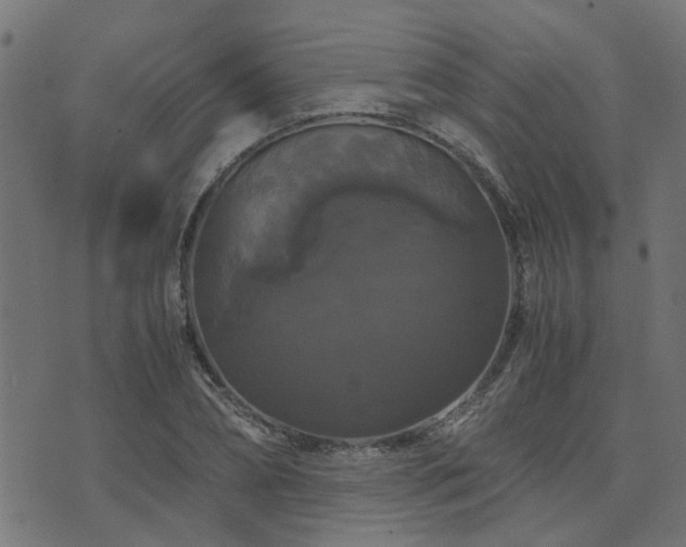 X0000071780882200606301217