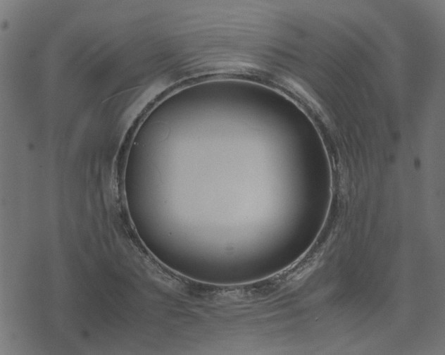 X0000071780883200606301217