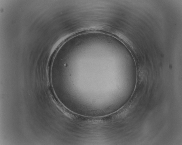 X0000071780886200606301217