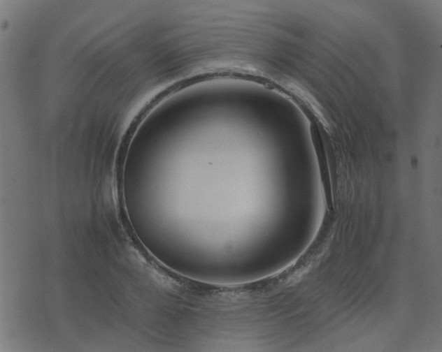 X0000071780888200606301217