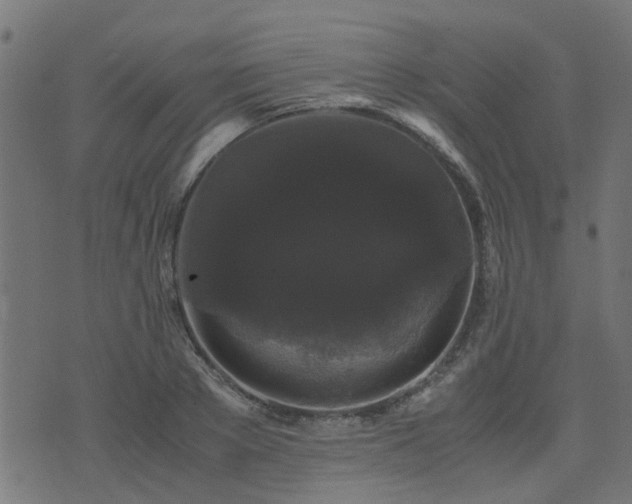 X0000071780889200606301217