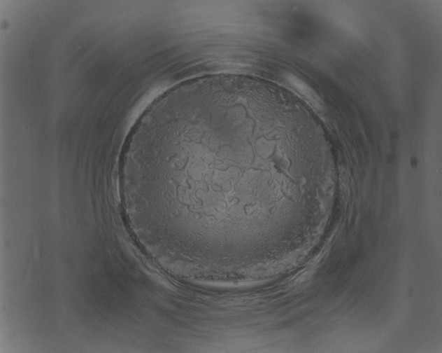 X0000071780891200606301217