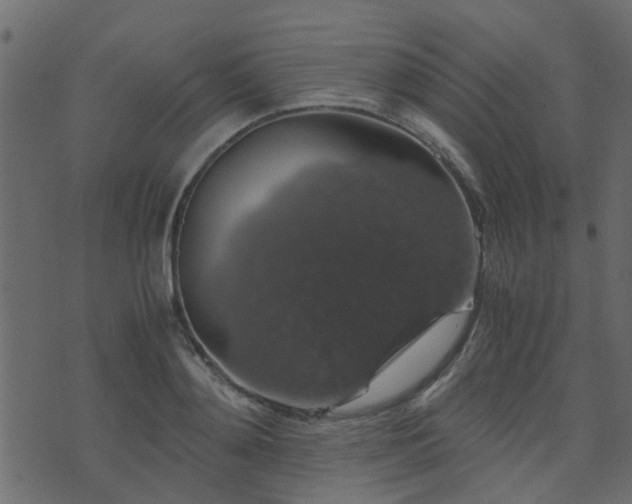 X0000071780892200606301217