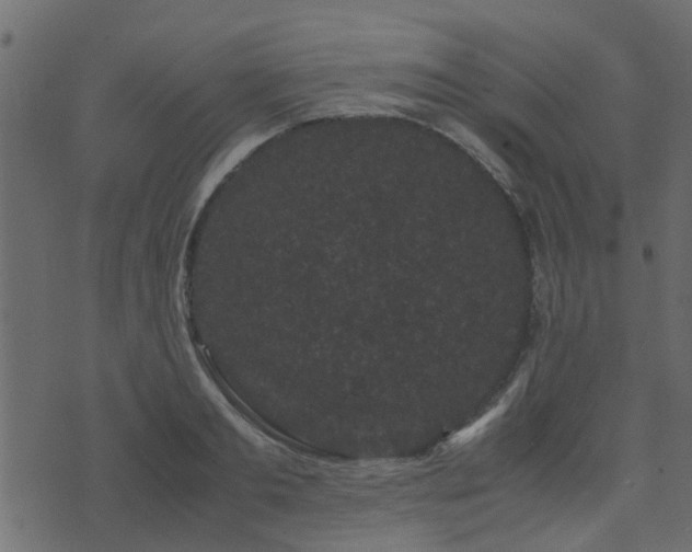 X0000071780893200606301217