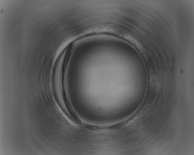 X0000071780894200606301217