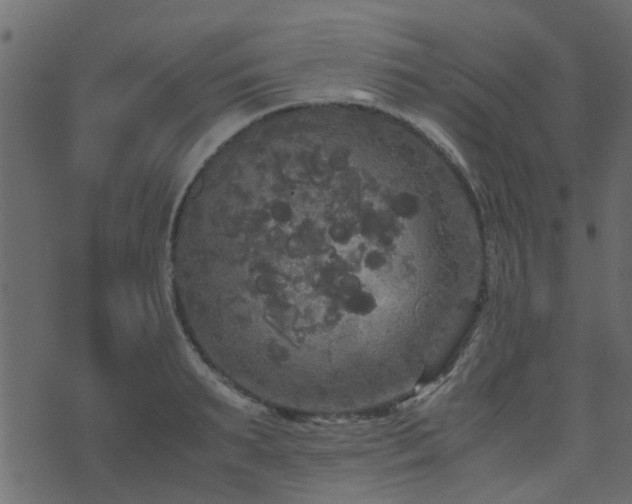 X0000071780895200606301217