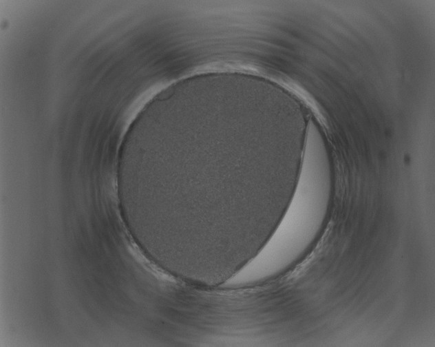 X0000071780896200606301217