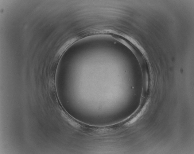 X0000071780897200606301217