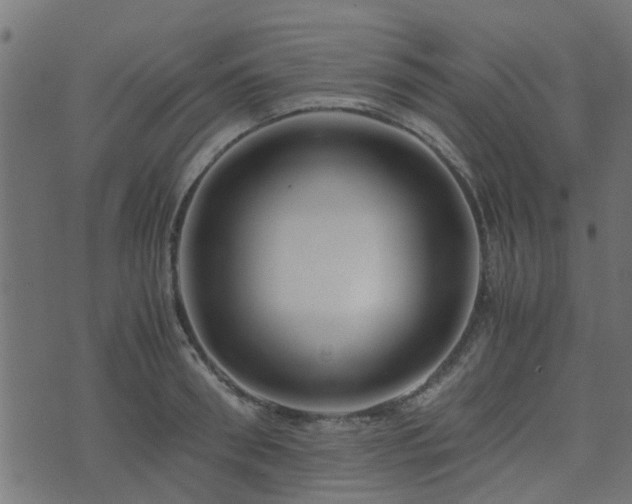 X0000071780898200606301217