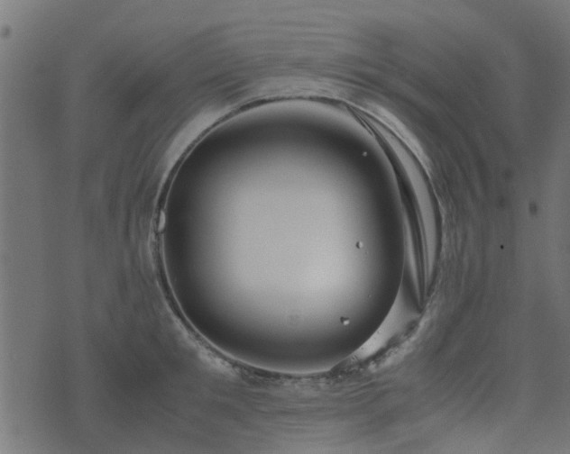 X0000071780901200606301217