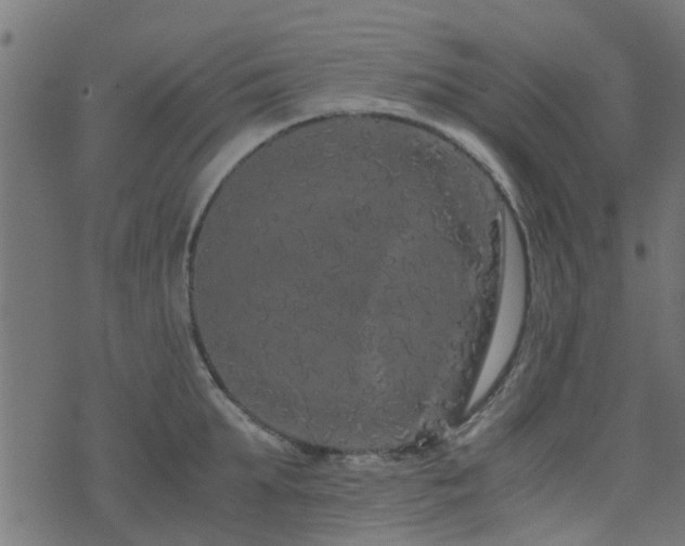 X0000071780903200606301217