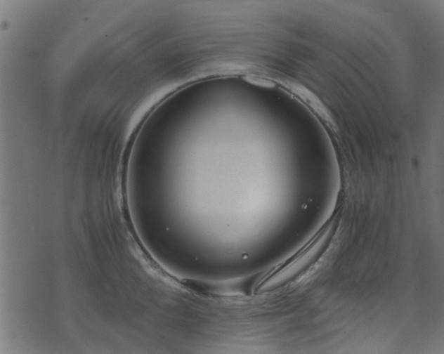 X0000071780904200606301217