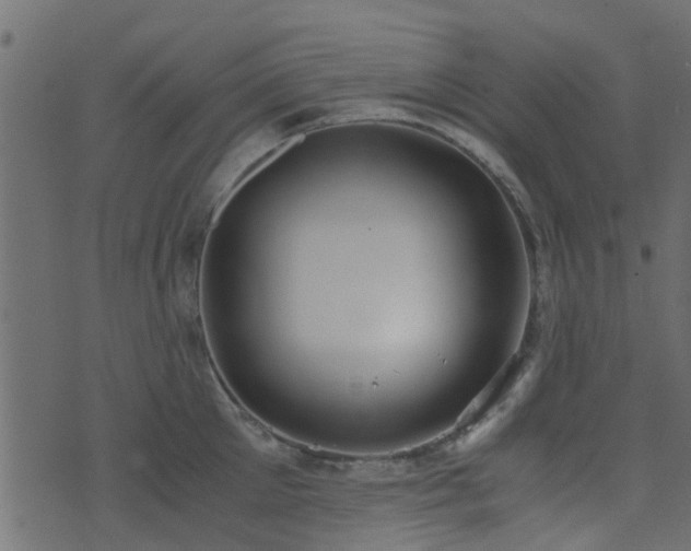 X0000071780905200606301217