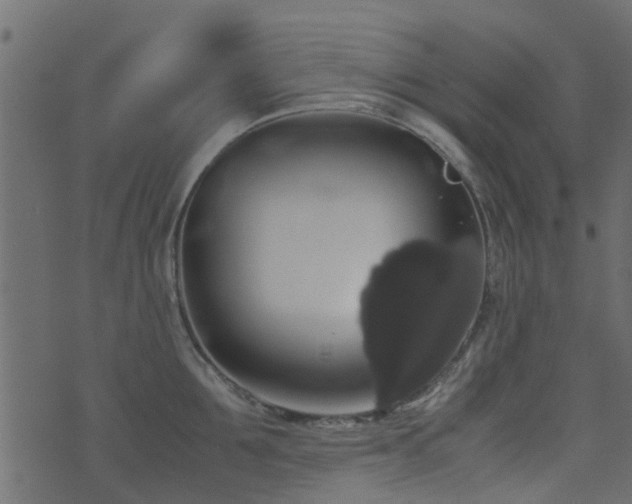 X0000071780907200606301217