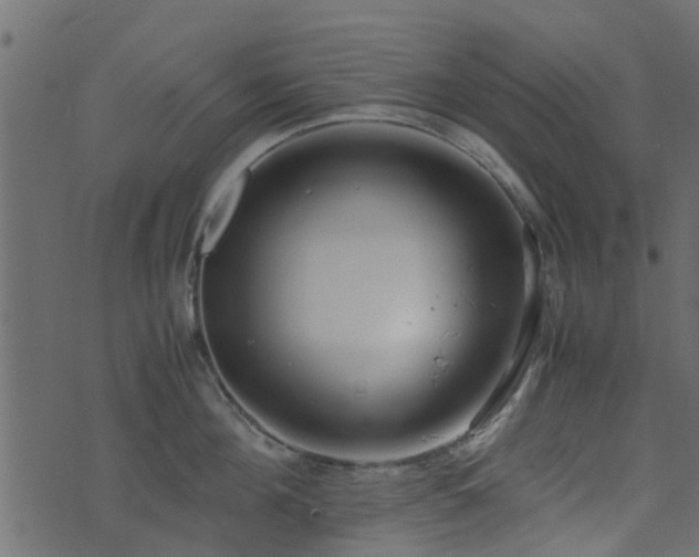 X0000071780908200606301217