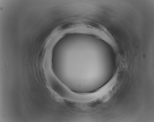 X0000071780909200606301217