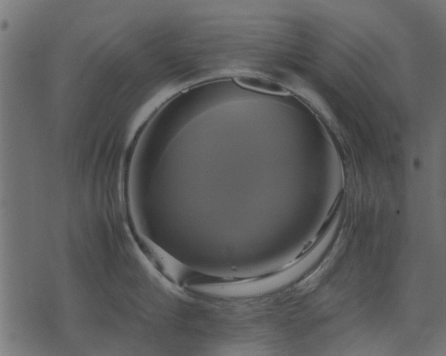 X0000071780910200606301217