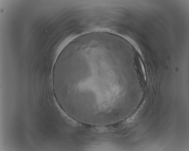 X0000071780911200606301217