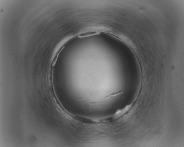 X0000071780912200606301217