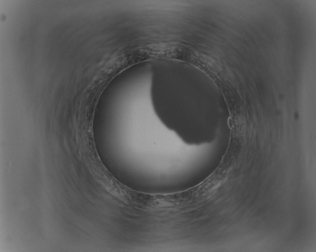 X0000071780913200606301216