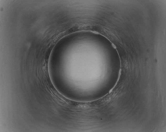 X0000071780914200606301216