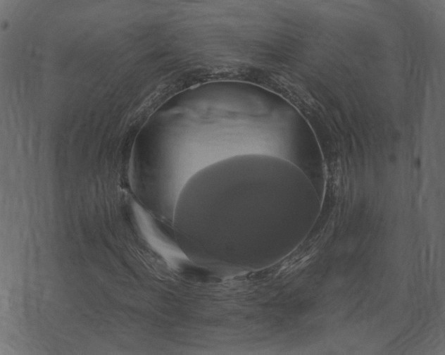 X0000071780916200606301216